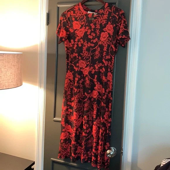 red and black layered mesh dress Maxi Dress Black/Red Long Dress Barb Mesh Maxi Dress Size 0 main image 0